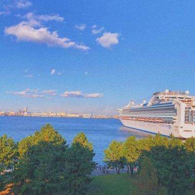 葫芦岛房产网截图